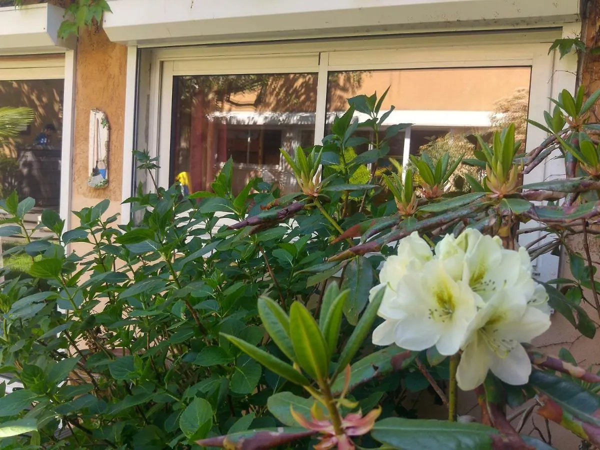 Homestay Le Relais De Montchat Lyon France